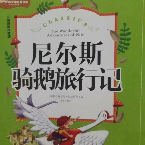 四平市中央东路小学三年三班李雨轩家庭读书会