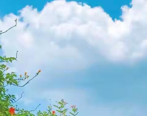 春风未尽夏初临 众志成城抗疫情——大屯中心校有序开展各项工作