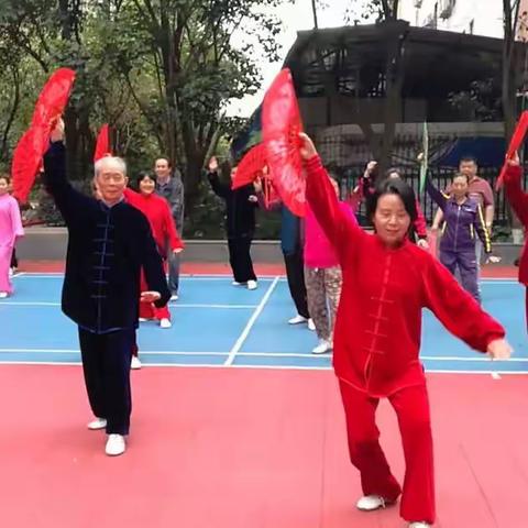 晨练太极：华武扇1～12式《钟老师领打》 2017年4月15日