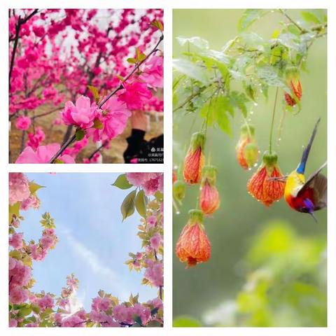 减负不减质幸福满校园，减出快乐童年。吴屯小学一直在行动。