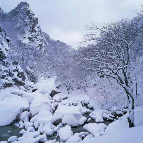 冬