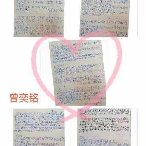 柏溪小学三年级语文搜集运用之特色语言篇