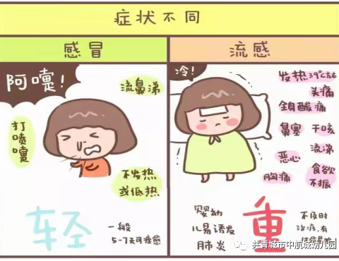 预防流感，守护健康、爱护身体，从我做起——华林智慧幼儿园