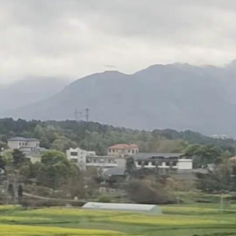 [春天的约定]N3复兴奔驰载我愿