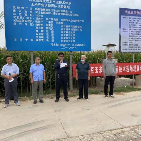 我市召开第二场玉米新技术新品种和大豆带状复种技术现场观摩会