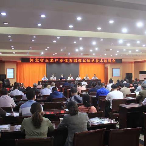 河北省玉米产业体系邯郸试验站举办培训观摩活动
