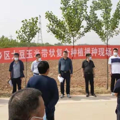 邯郸市开展大豆玉米带状复合种植技术现场观摩培训