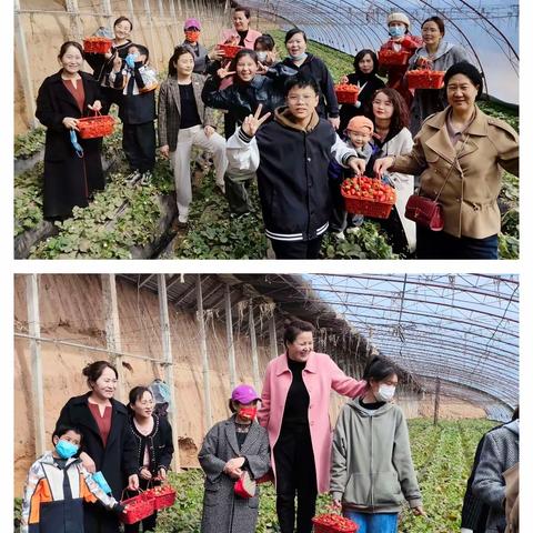 🍓风清气爽 草莓遍地🍓同心县邮政分公司三八节采摘活动小结