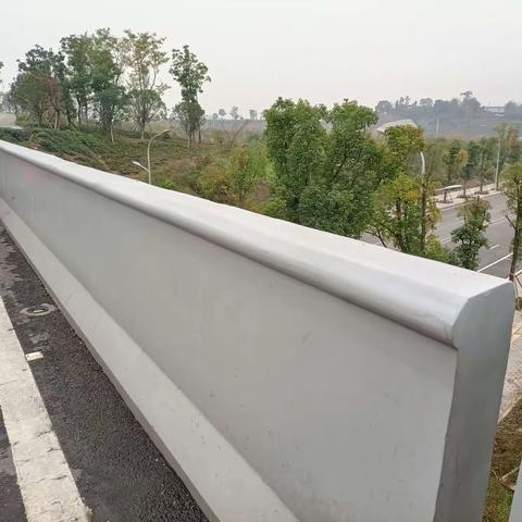 司科朗青凤项目2023年1月份工作情况