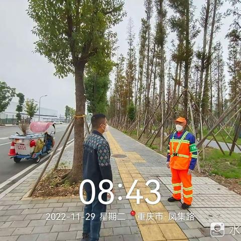 青凤项目2022年11月安全培训会