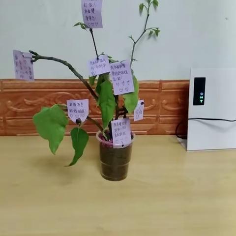 快乐童年、有你陪伴——亲子手工作品