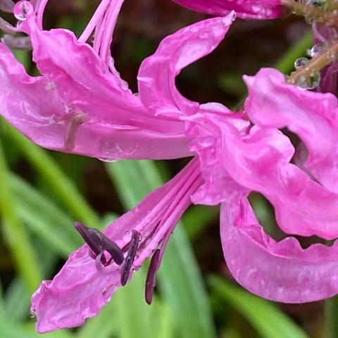 冬雨二阕（外两首）嘉文 图/文