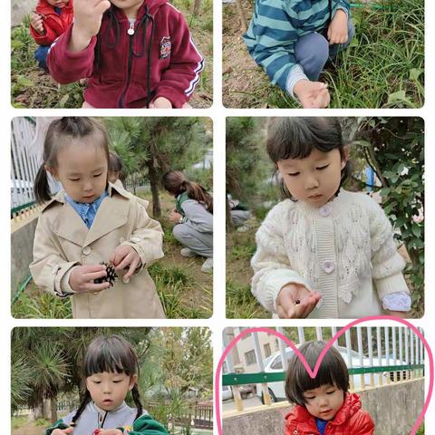 探索秋天的奥秘