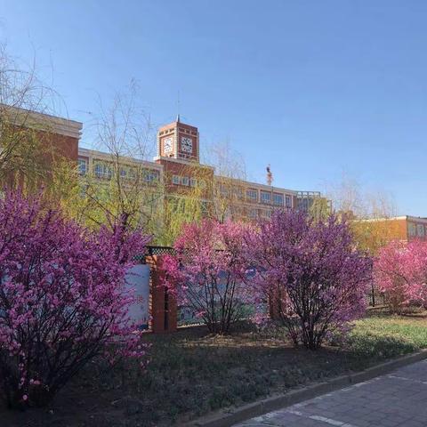 “展”其精彩，“览”之受益——承德市第三中学英语组教案展