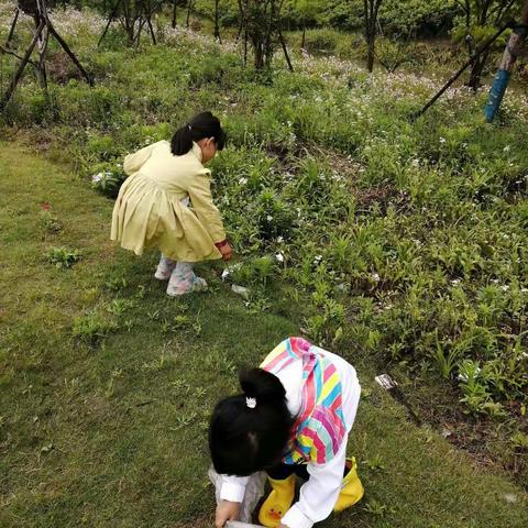 草坪上走很多垃圾，我们要保护地球家园