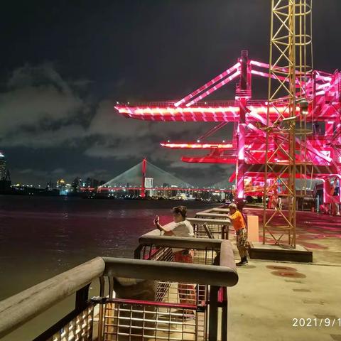 浦江夜色秋风艳