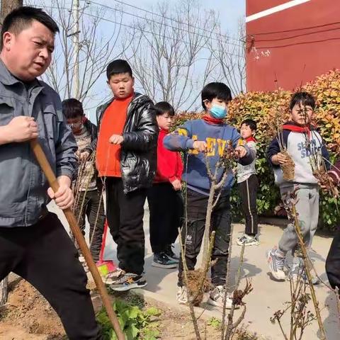 植树添新绿，不负好春光! —— 古寺郎中心小学开展植树活动