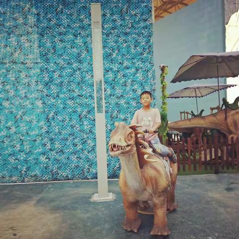 快乐暑假，三九班张晋瑄西安之行