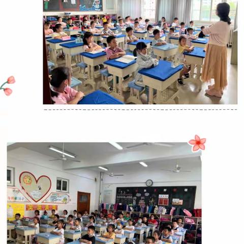 实践出真知 劳动增智慧——记金城小学开展劳动教育和综合实践课程