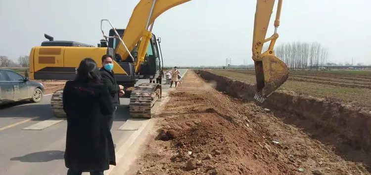 金叶国槐能长多高啊