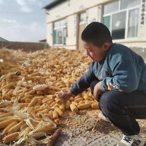 《国庆节劳动活动》北马路小学 二年级一班贾凯晟，中华人民共和国已经成立73周年！