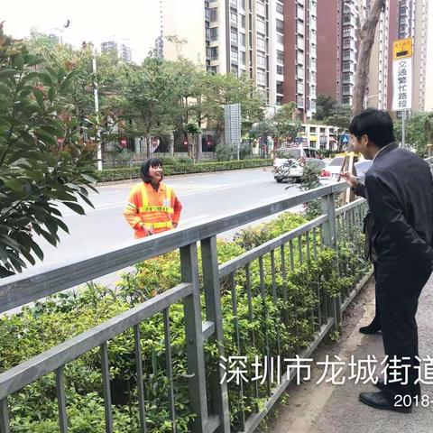 行走中，找问题。12月12日区城管局许少帆副局长率队继续行走龙城之（三）