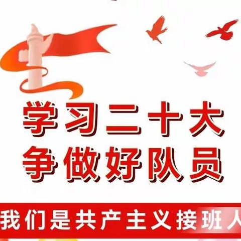 新建区第七小学开展“学习二十大  争做好队员”主题教育活动