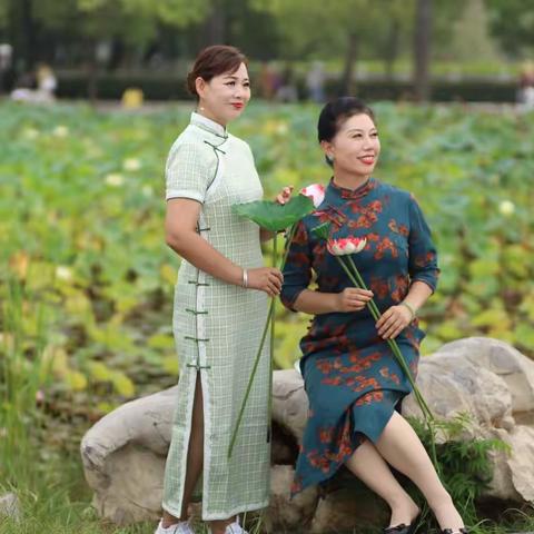 旗袍美女，“荷”你相约（二）