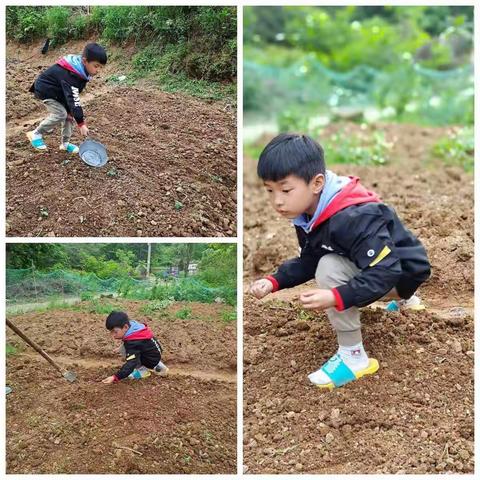 我劳动我光荣#观庙镇中心小学二年级1班劳动节纪实。