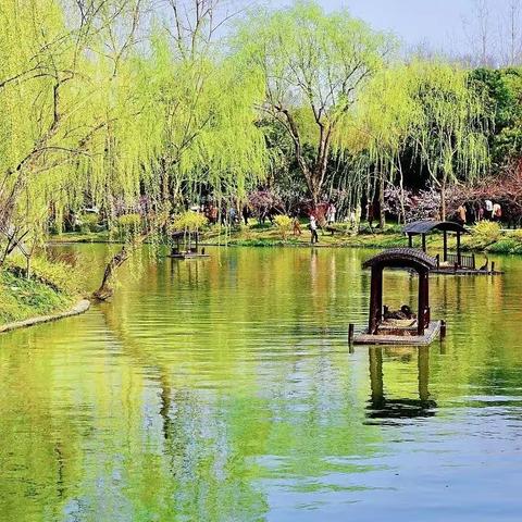 《拥抱春天，感受美好》