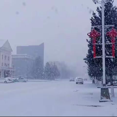 凝心聚力除积雪，情暖早春二月天