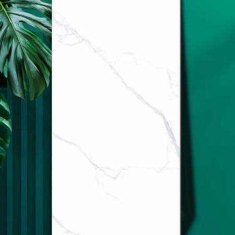 7501500优等特价优先款