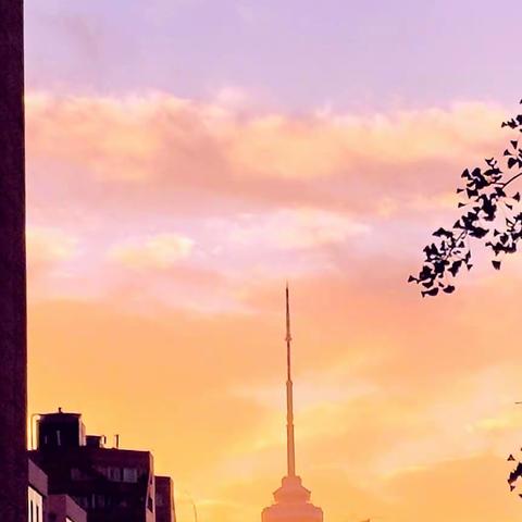 天空出彩霞  地上开红花                             （世界雕塑园赏花随记）