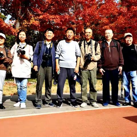 秋天之美 《黄与红的乐章》