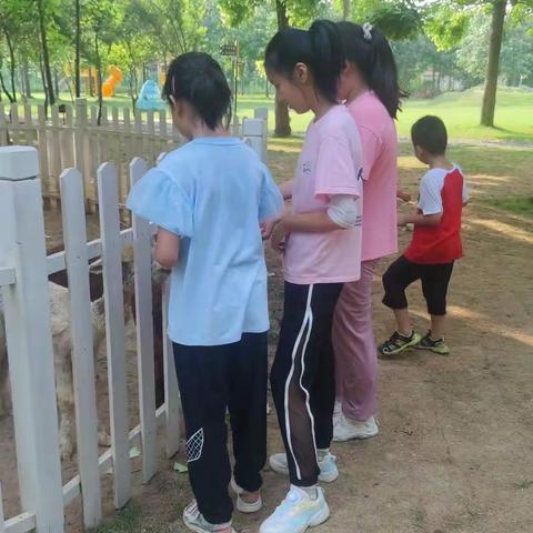鹿小森