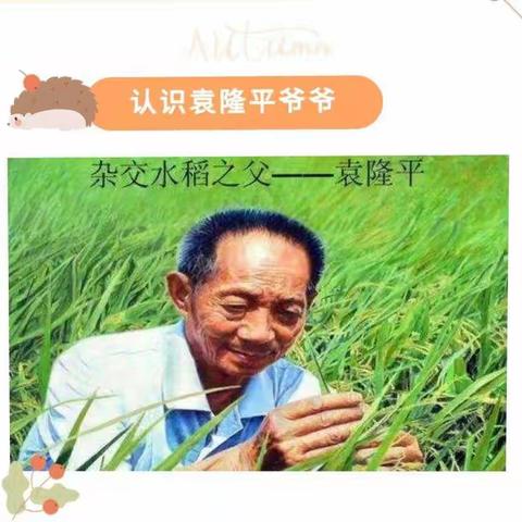 《粮全其美，不负时光》——金伊芙六一幼儿园世界粮食日线上主题活动