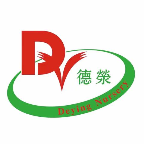 海丰德荥幼儿园“追逐航空梦·童心向未来”爱国主义教育宇航员主题训练周开始报名了！