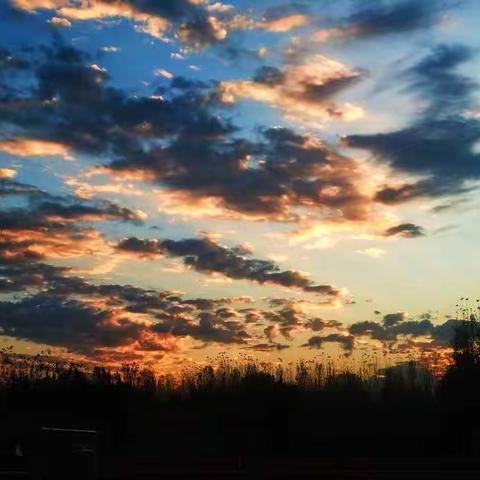 【鄌郚镇中学】青春正好，筑梦远航——7.3班日常活动纪实