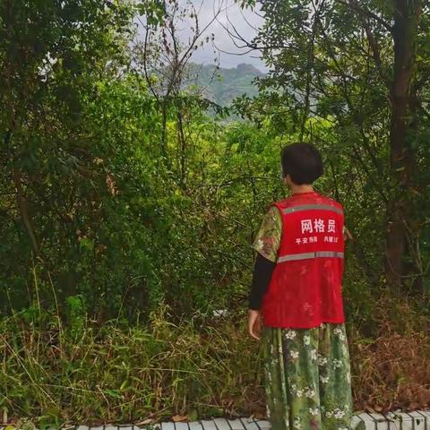 做好森林防火安全工作