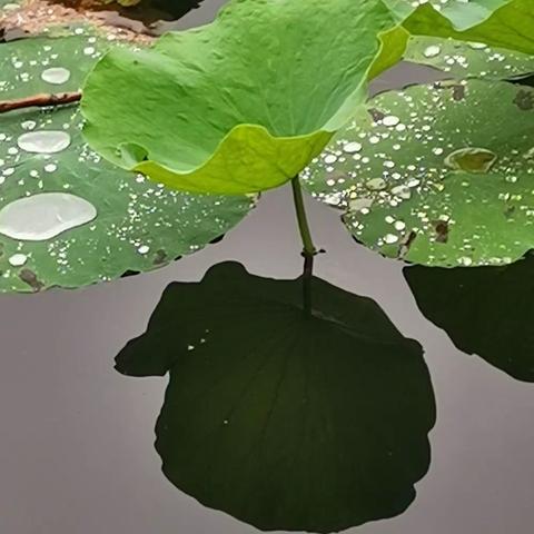 雨后