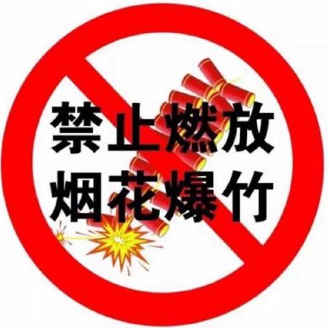 菁苗幼儿园“禁放烟花爆竹，共迎绿色新年”倡议书