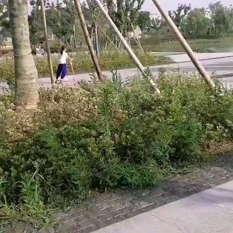 快乐的暑假生活