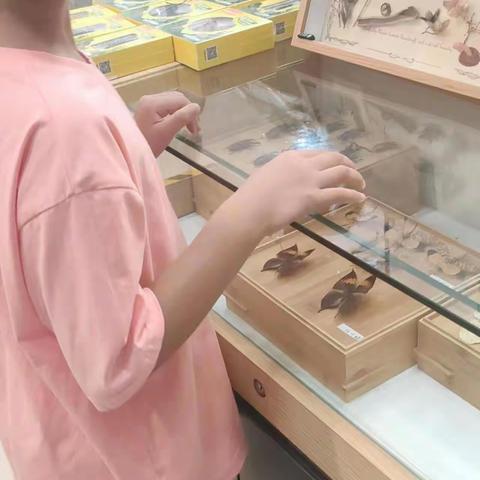 李安安的快乐暑假