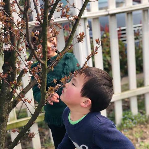 绘声绘色 童声童趣——记下原幼儿园青年教师绘本教学比赛活动
