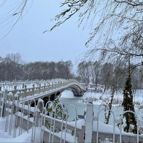 繁华落尽，清凉入心