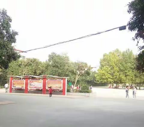 实践教育促身心，研学课堂激情怀——记舞阳县第三实验小学社会实践基地活动验收工作