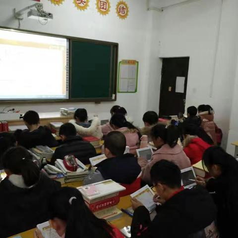 扬帆起航，我们在路上——六（7）班精彩活动集锦