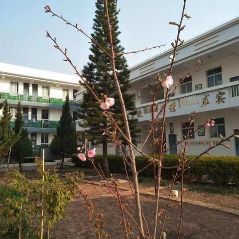 春的信息，我们已收到