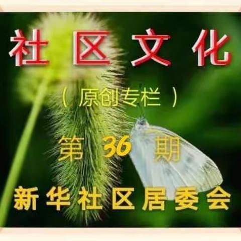 迎雪