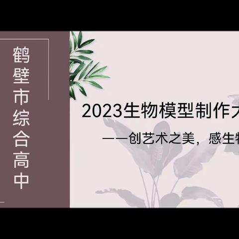 创艺术之美，感生物之趣